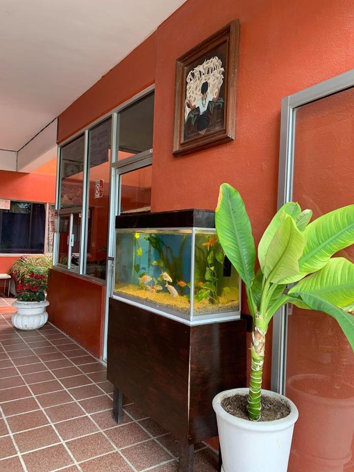 Hotel Bahia De La Paz Luaran gambar
